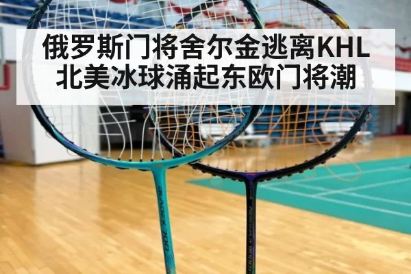 俄罗斯门将舍尔金逃离KHL 北美冰球涌起东欧门将潮